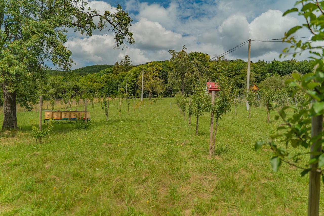 Chata Hlboke Bojnice Exteriér fotografie