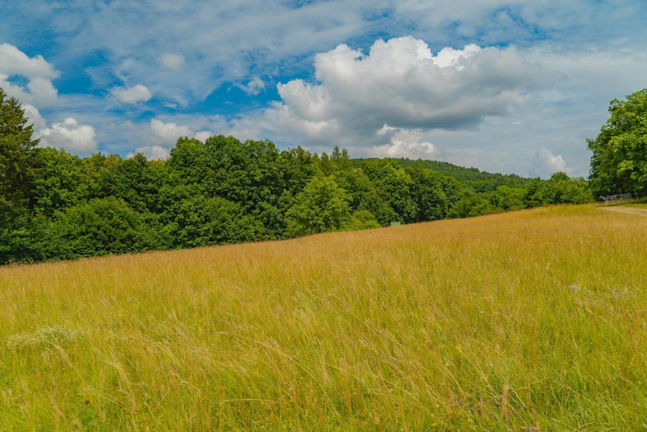 Chata Hlboke Bojnice Exteriér fotografie